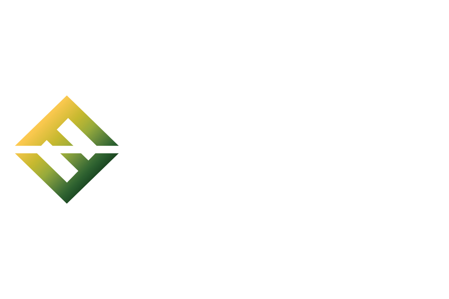 FASS Business Consultancy, Inc.