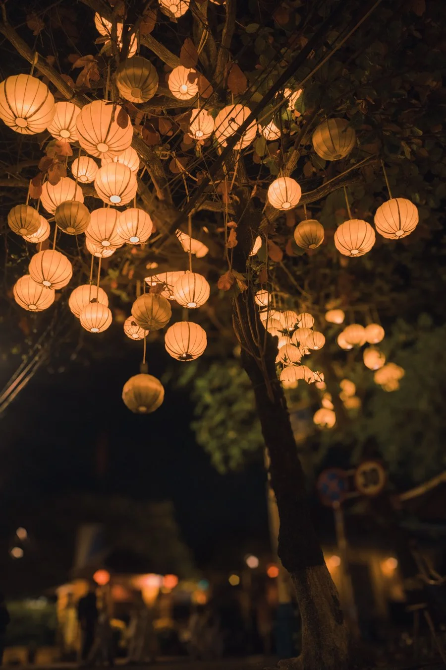 Tree decorated with hanging paper lanterns at night, glowing warmly in the dark.