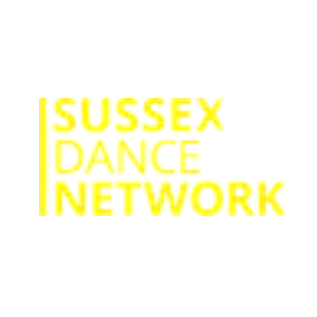 Sussex Dance Network logo featuring the organisation name in bold yellow capitals stacked across three lines, with a vertical yellow bar to the left