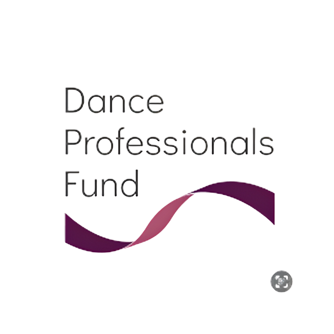Dance Professionals Fund logo featuring the organisation name in light grey sans-serif type above a flowing ribbon motif in purple and pink gradients suggesting movement