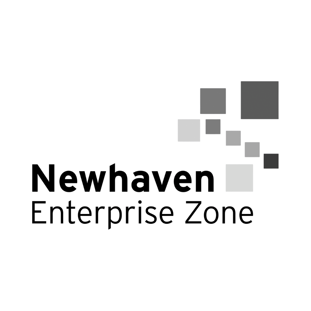 Newhaven Enterprise Zone logo featuring the organisation name in bold and regular weight black sans-serif type, alongside a cluster of grey squares in varying sizes arranged in a diagonal scatter pattern suggesting growth and activity