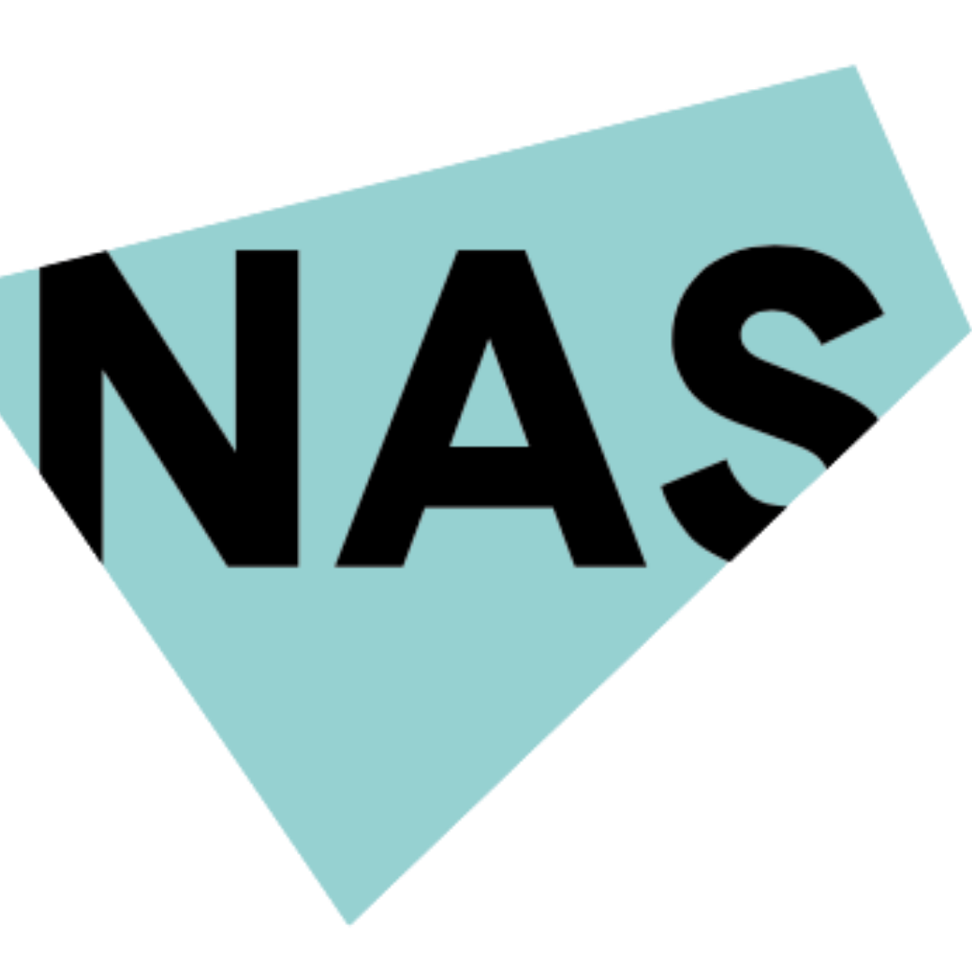 NAS logo featuring the acronym in large bold black capitals on an angled teal parallelogram shape, cropped dynamically at the edges