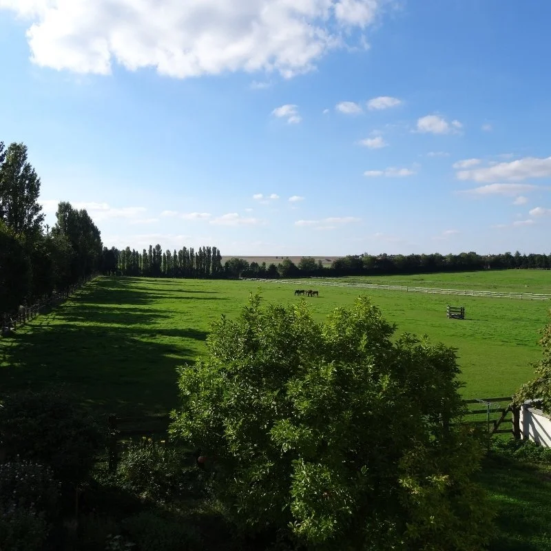 Magnifique vue de la Normandie