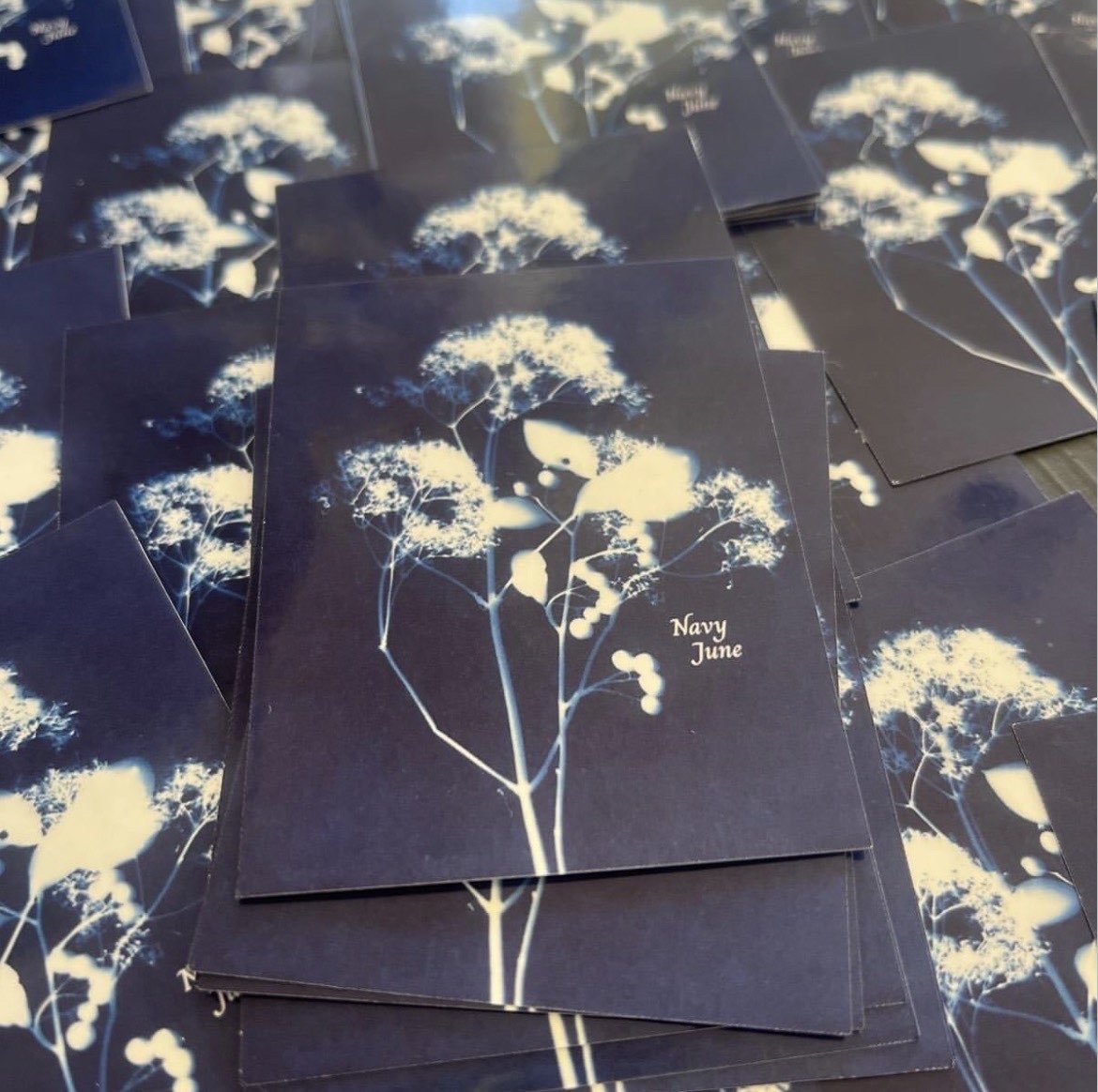 Navy June Sticker