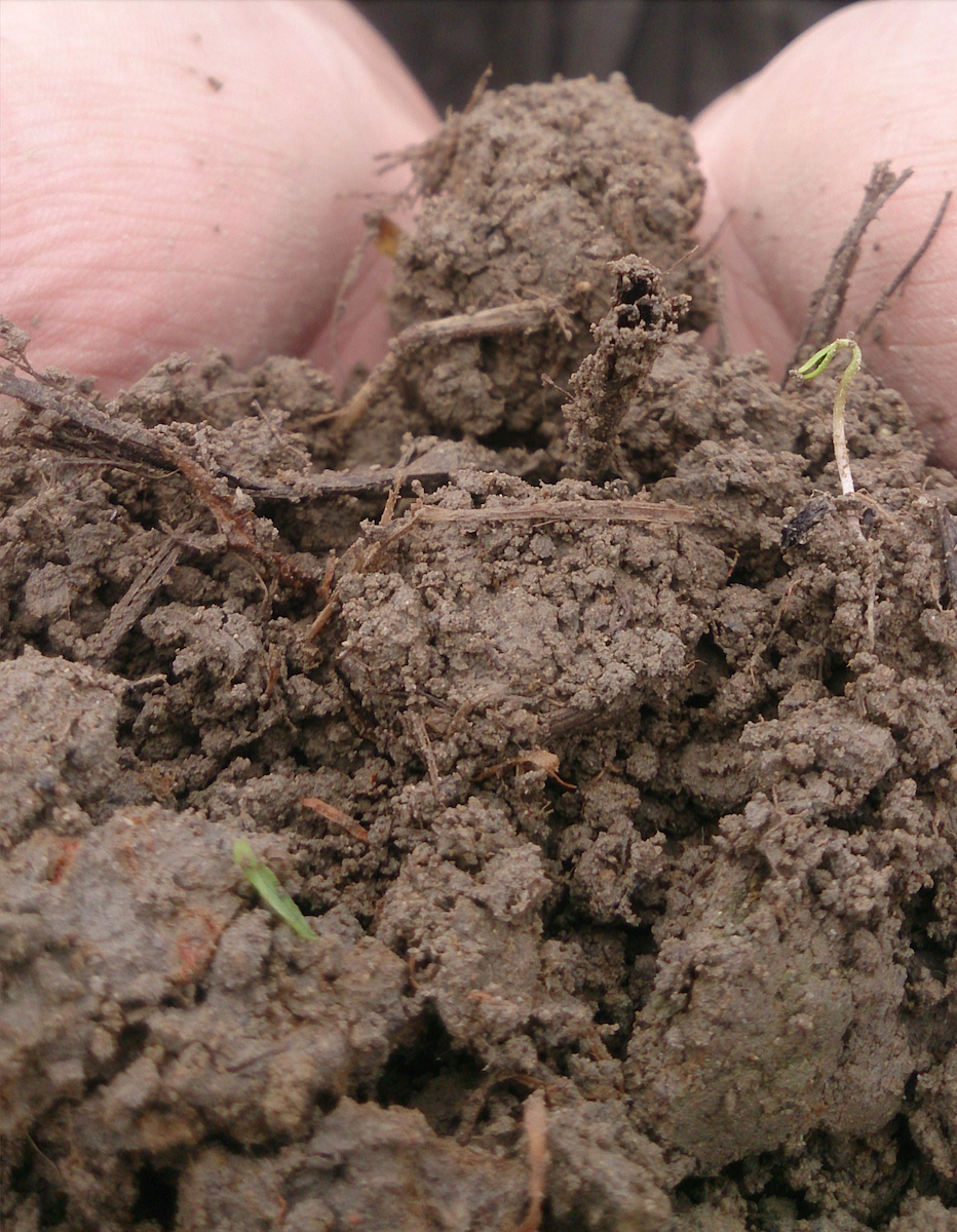 tako sake, kuheiji monryu, terroir series, fields , tako rice fields, kuheiji