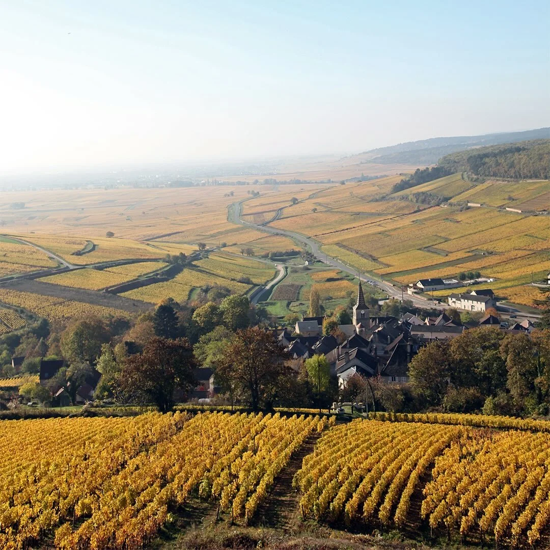 domaine kuheiji wine france fields
