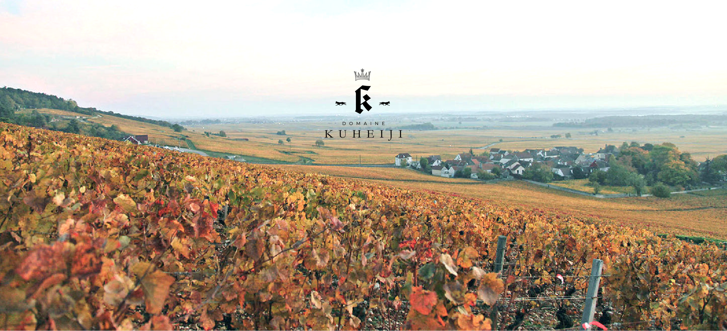 france logo back.png