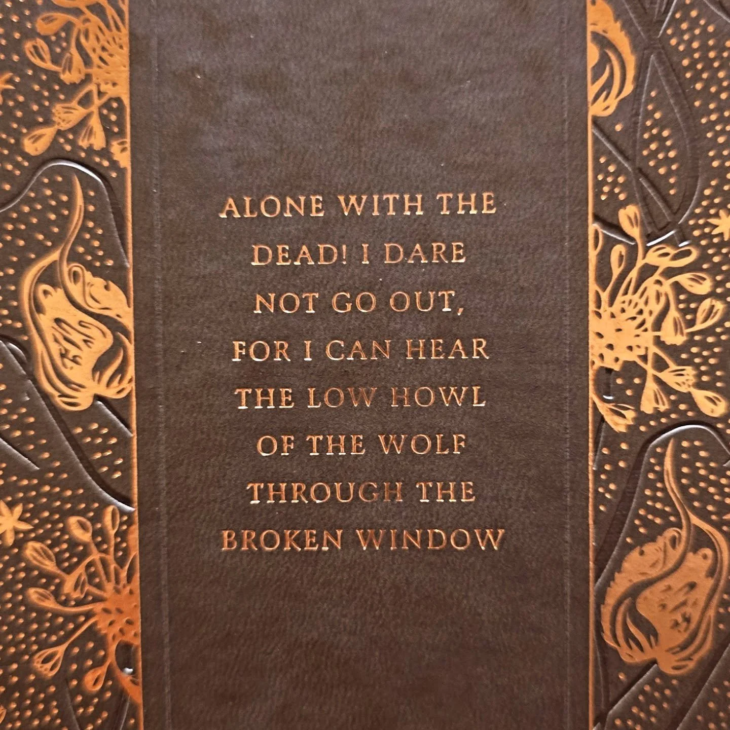 Can you guess the quote? 👀 

#bookshop #bookstagram #quotes #specialeditionbooks