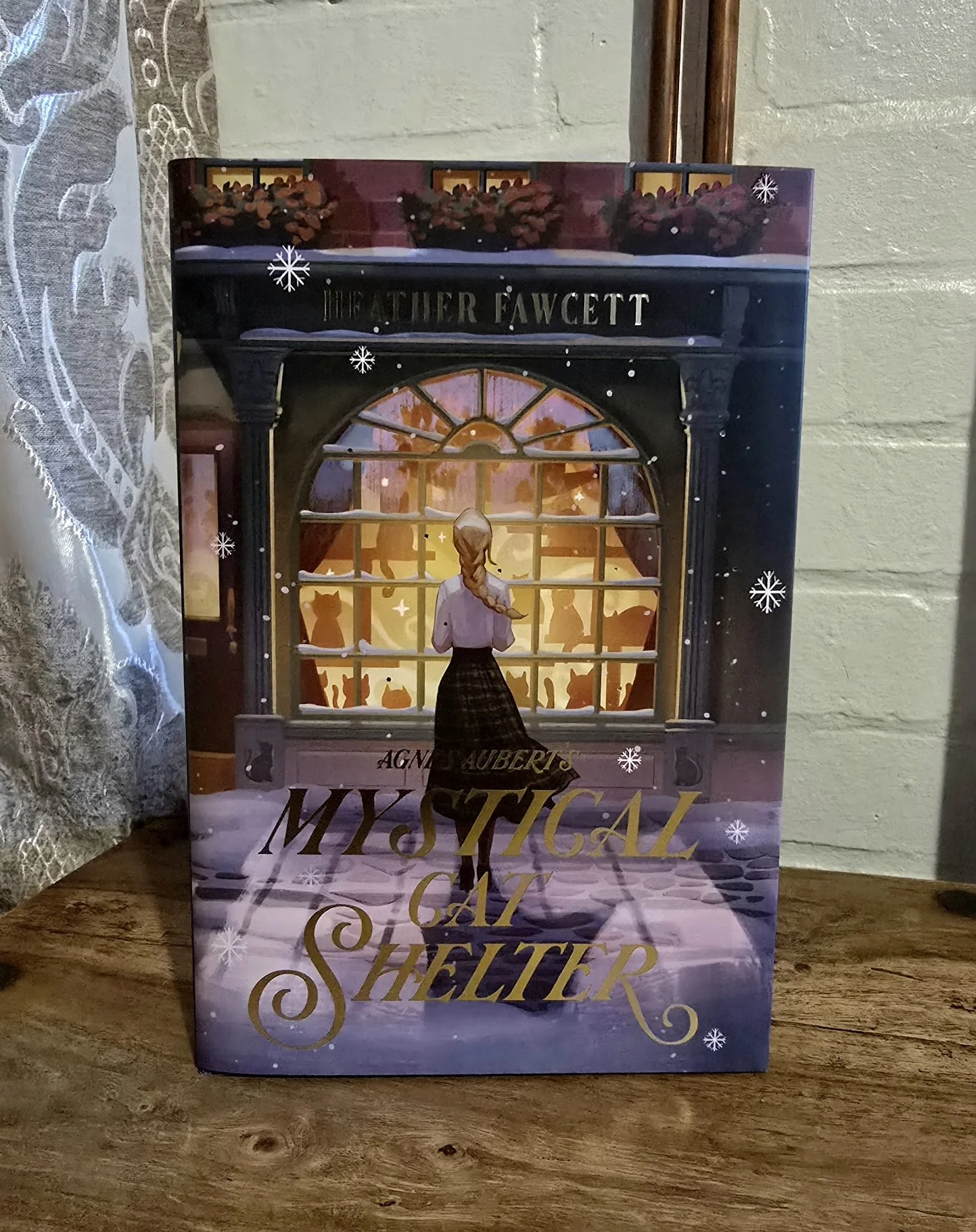 Heather Fawcett - Agnes Aubert's Mystical Cat Shelter