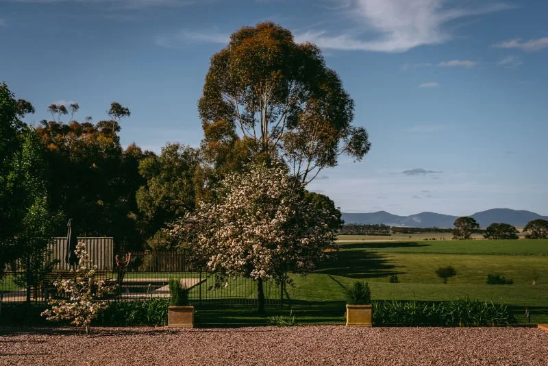 graveled area leading to grass with established trees and plants.jpg