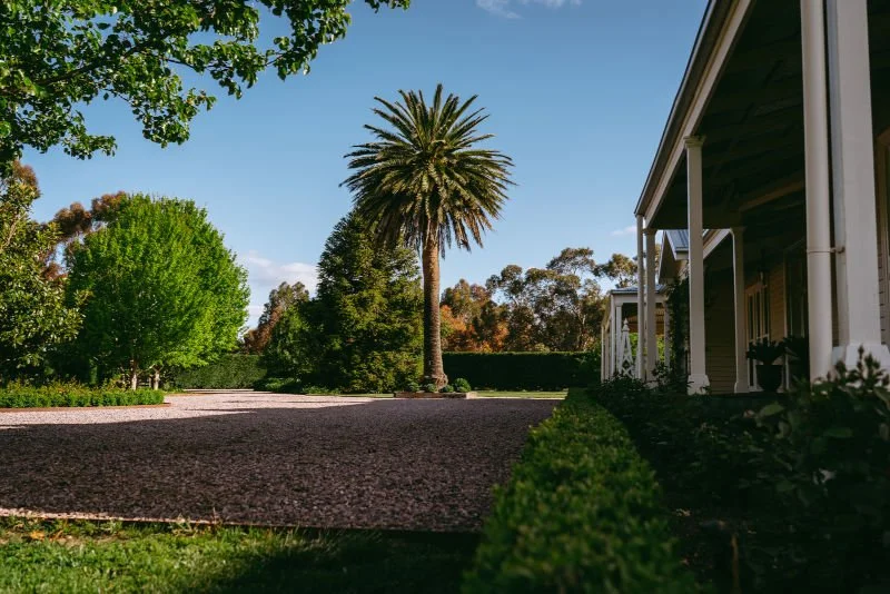 gravel area with garden beds and grass and established tree.jpg