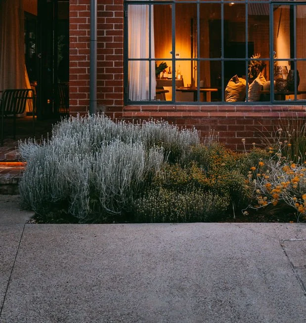 Concrete leading to garden bed below window