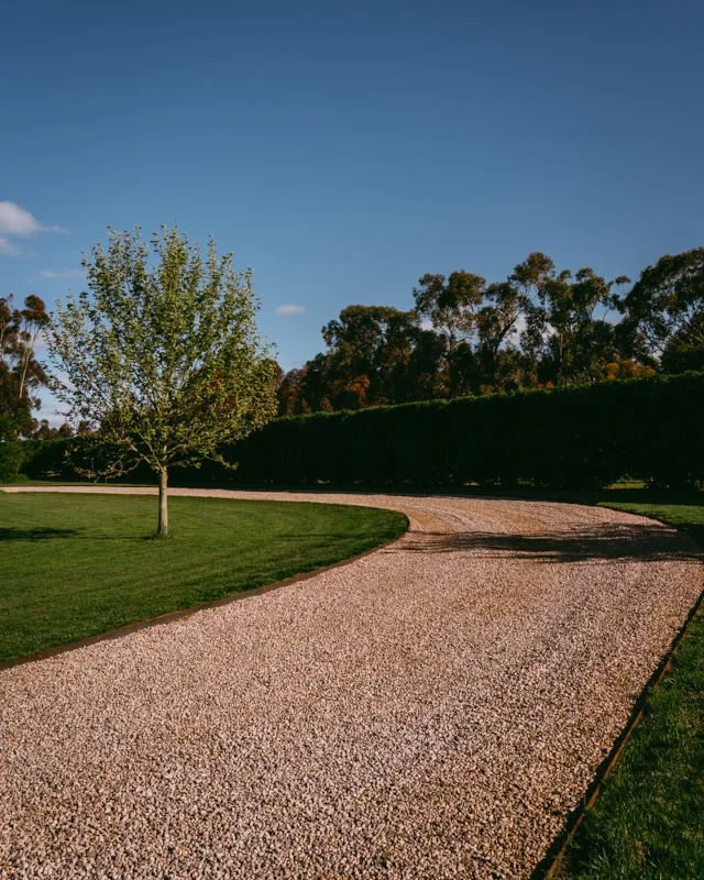 gravel driveway with grassed area hedge and tree.jpg