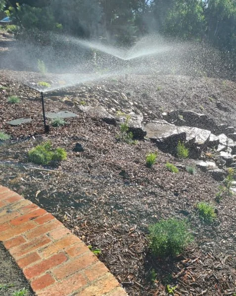irrigation system watering a sloping gardening bed