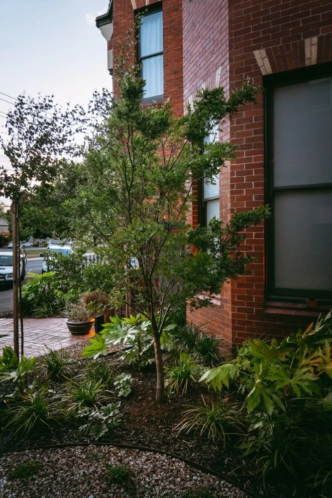 Hotel Vera Project landscaping and garden 4.jpg