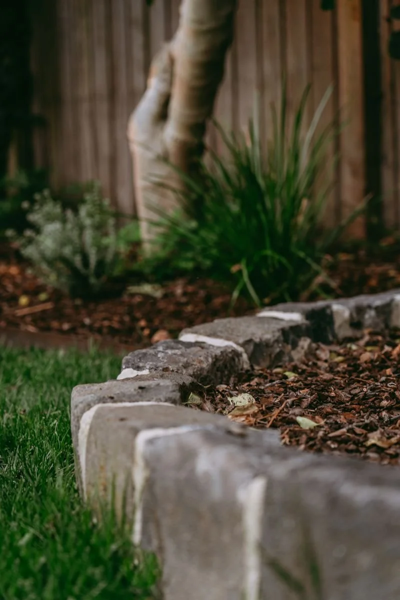 Errard St Landscaping and garden design 2.jpeg