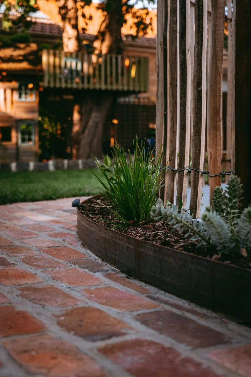 Errard St Landscaping and garden design 3.jpeg