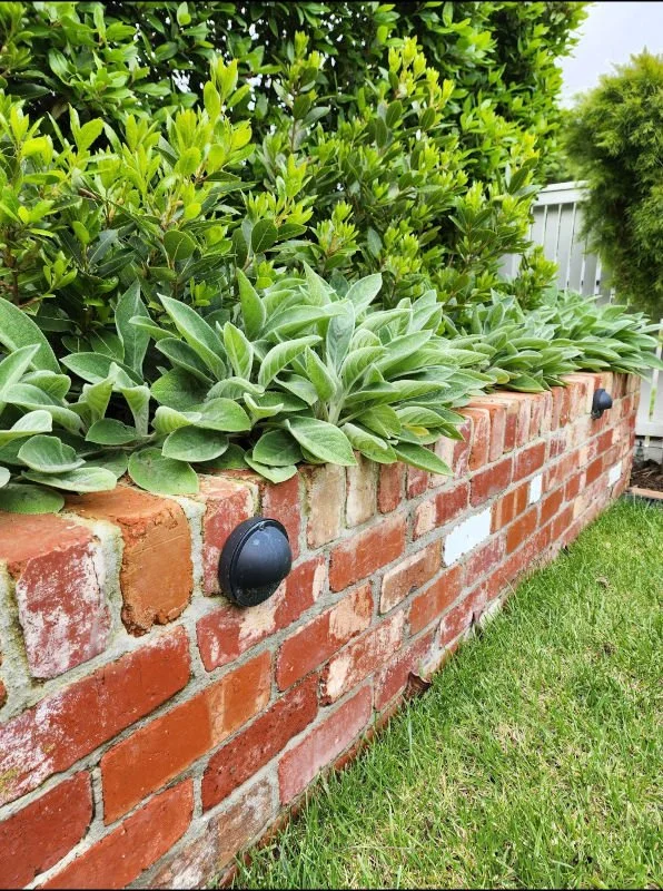 red brick wall with lighting