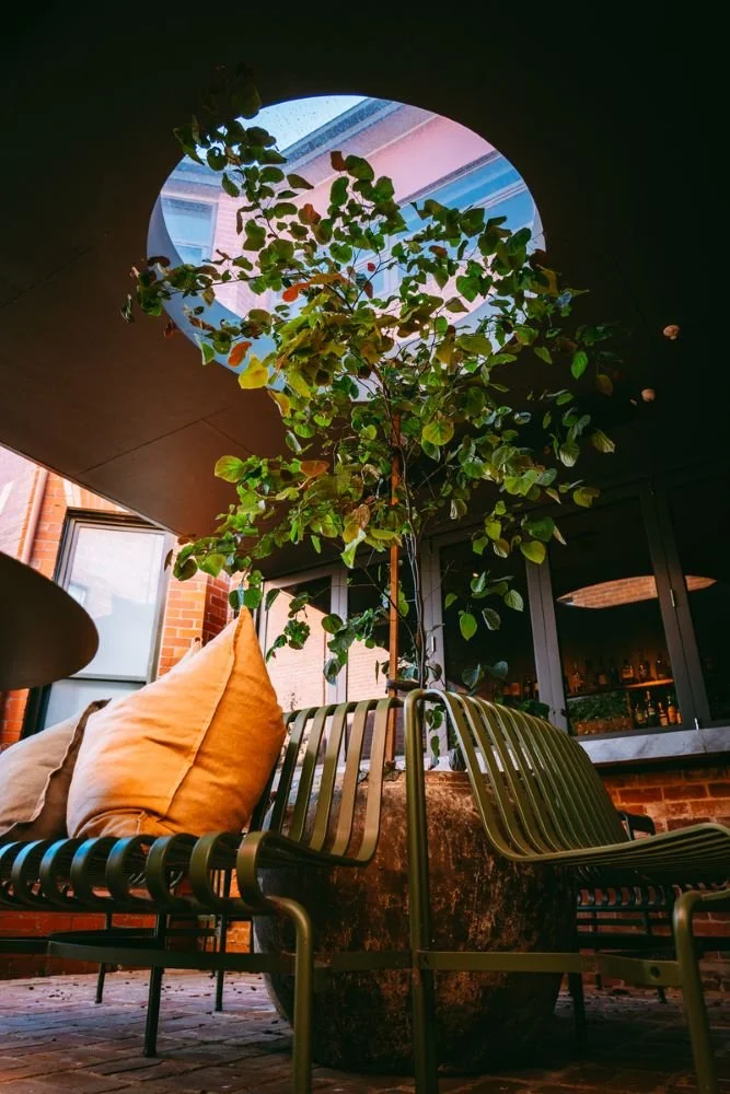 Hotel Vera Project landscaping and garden 6.jpg