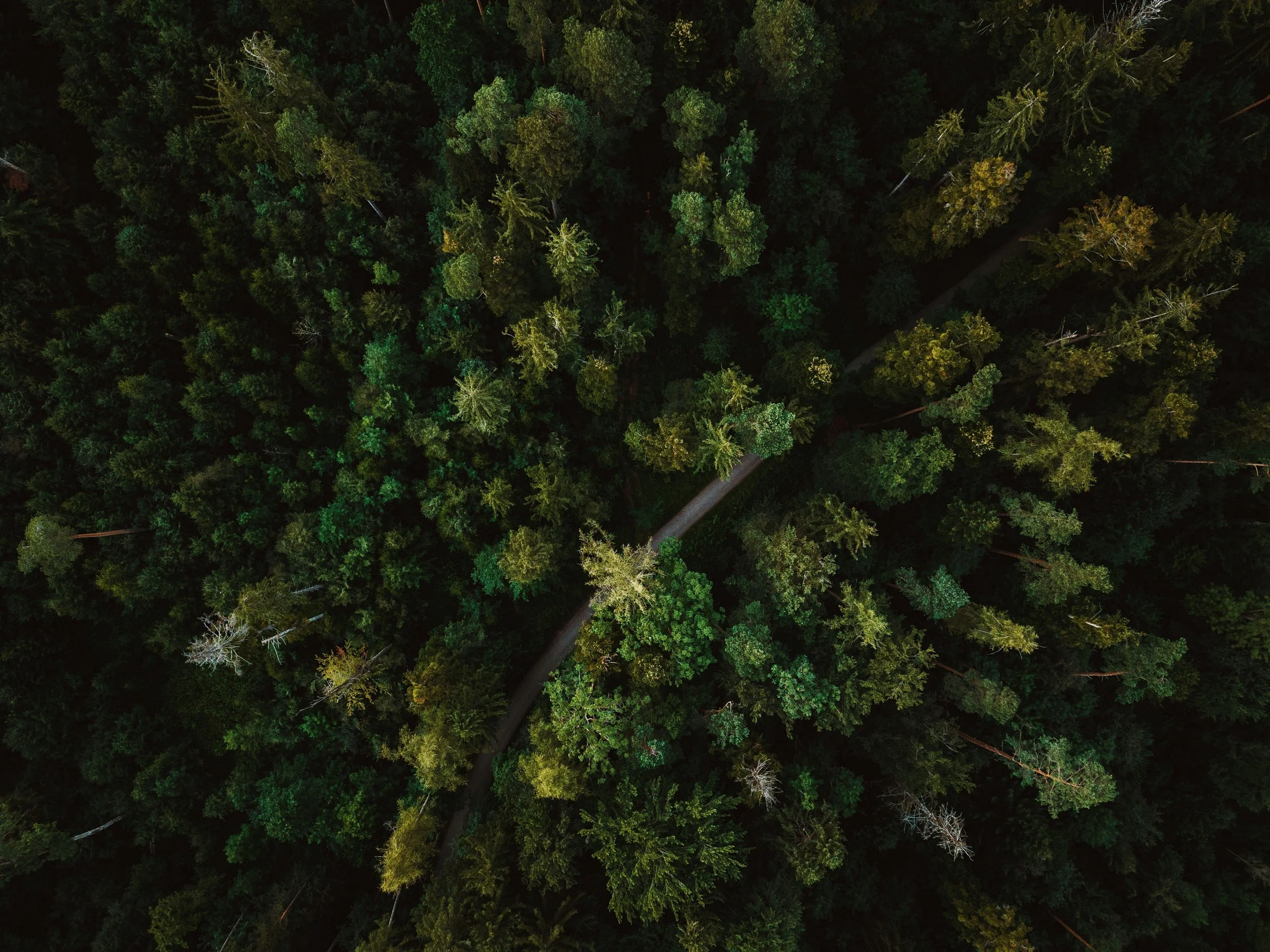 Sustainability Strategy Update