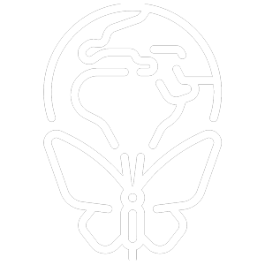icon of a butterfly and globe