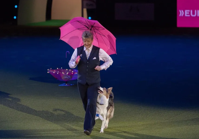 A woman holding a pink umbrella walking with a dog in the main arena at Crufts.