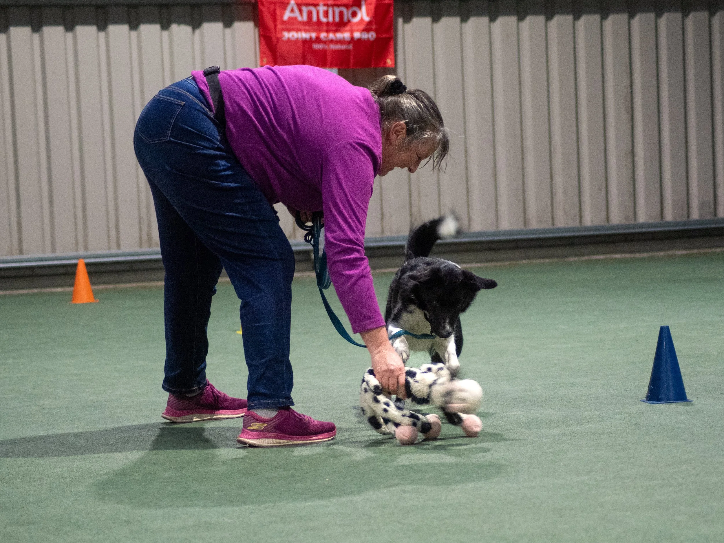 Stanley happily playing (Silver)