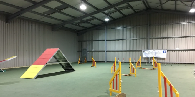Indoor dog agility training area with an A-frame obstacle and multiple yellow and red jumps.