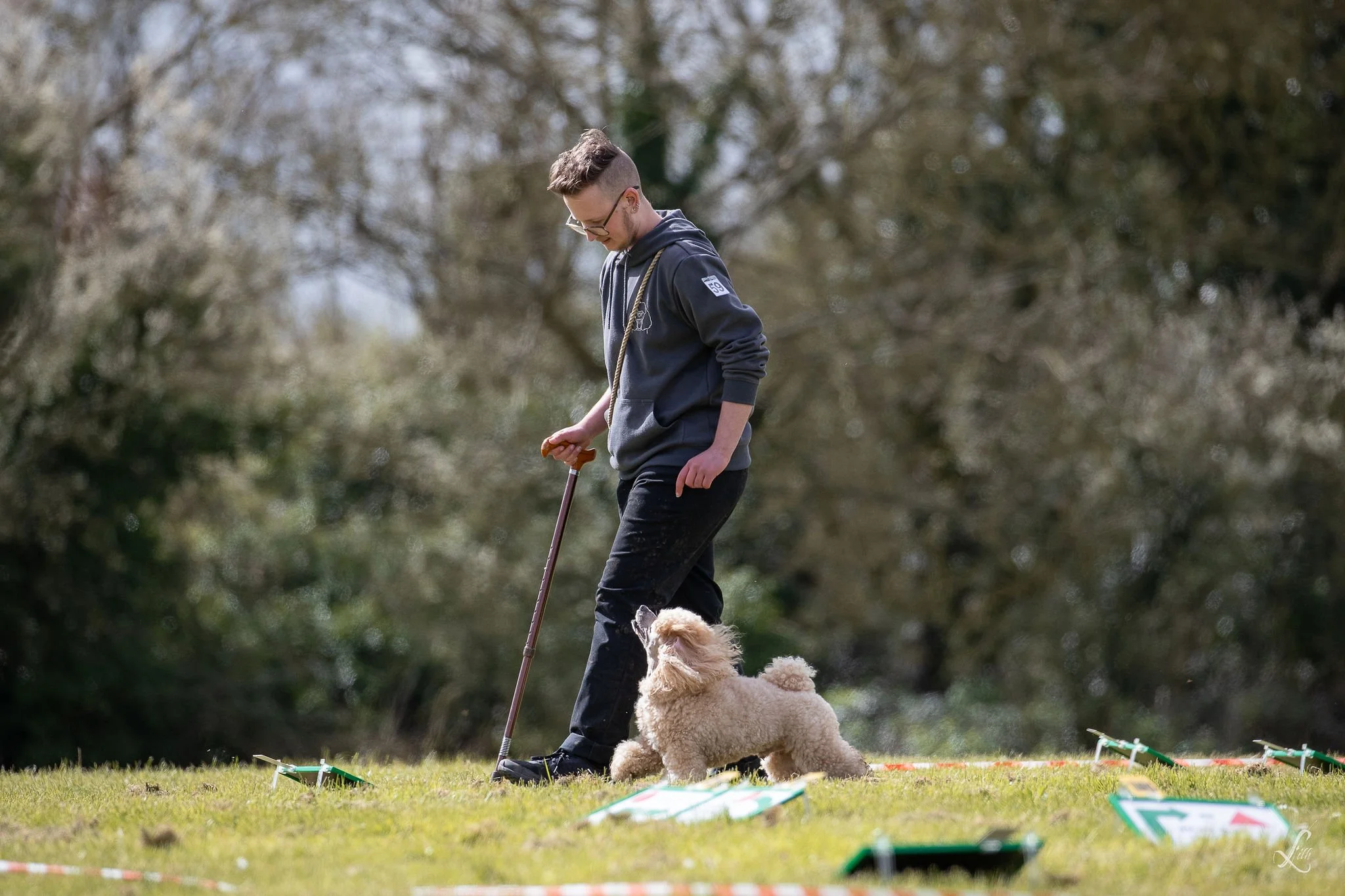 A young man walking on a grassy field with an apricot toy poodle, holding a walking stick, surrounded by rally equipment in an outdoor setting with trees in the background.