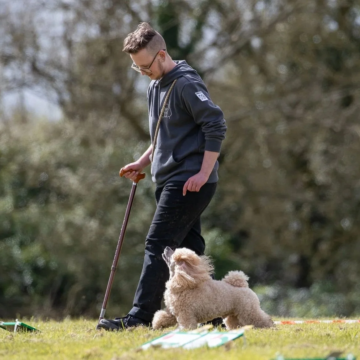 A young man wearing glasses and a dark hoodie with a dog training leash around his neck, standing outdoors on a grassy field with a fluffy light-colored poodle heeling attentively next to him.