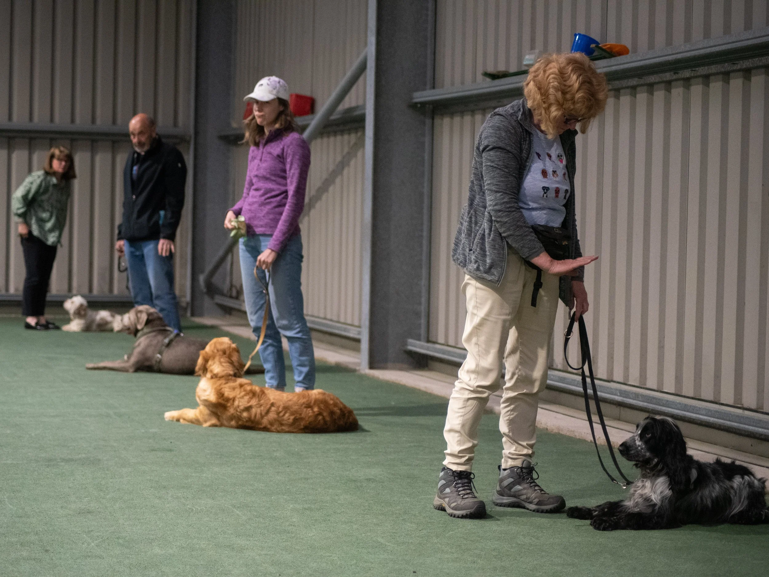 Handlers prepare their dogs for the 2 minute Down Stay (Gold)