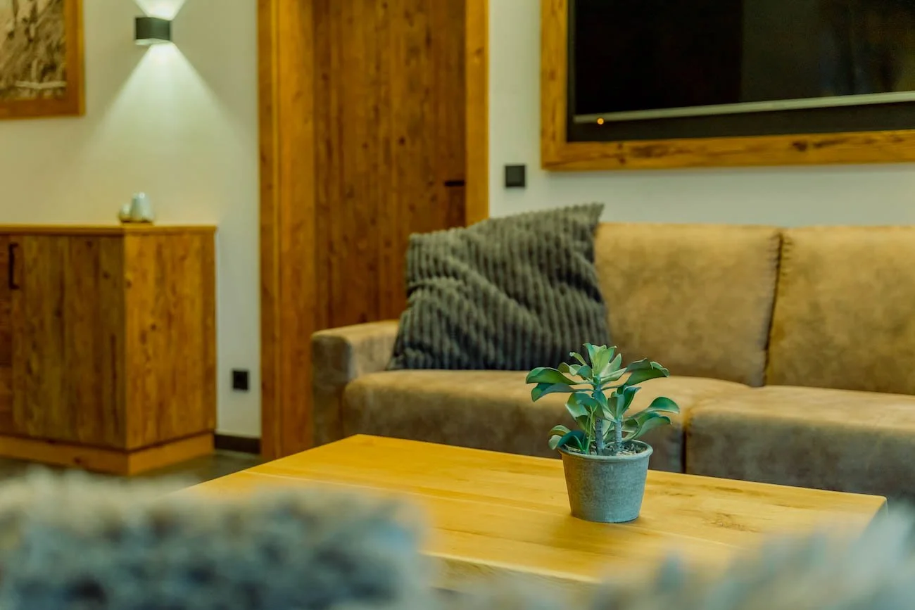 eder VIEW Apartment No 6 Wohnzimmer 5.jpg