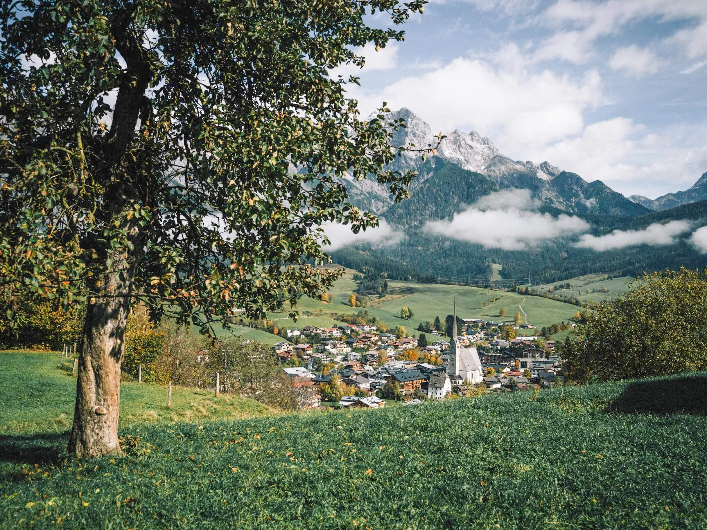 The Eder Collection Apartments 41.jpg