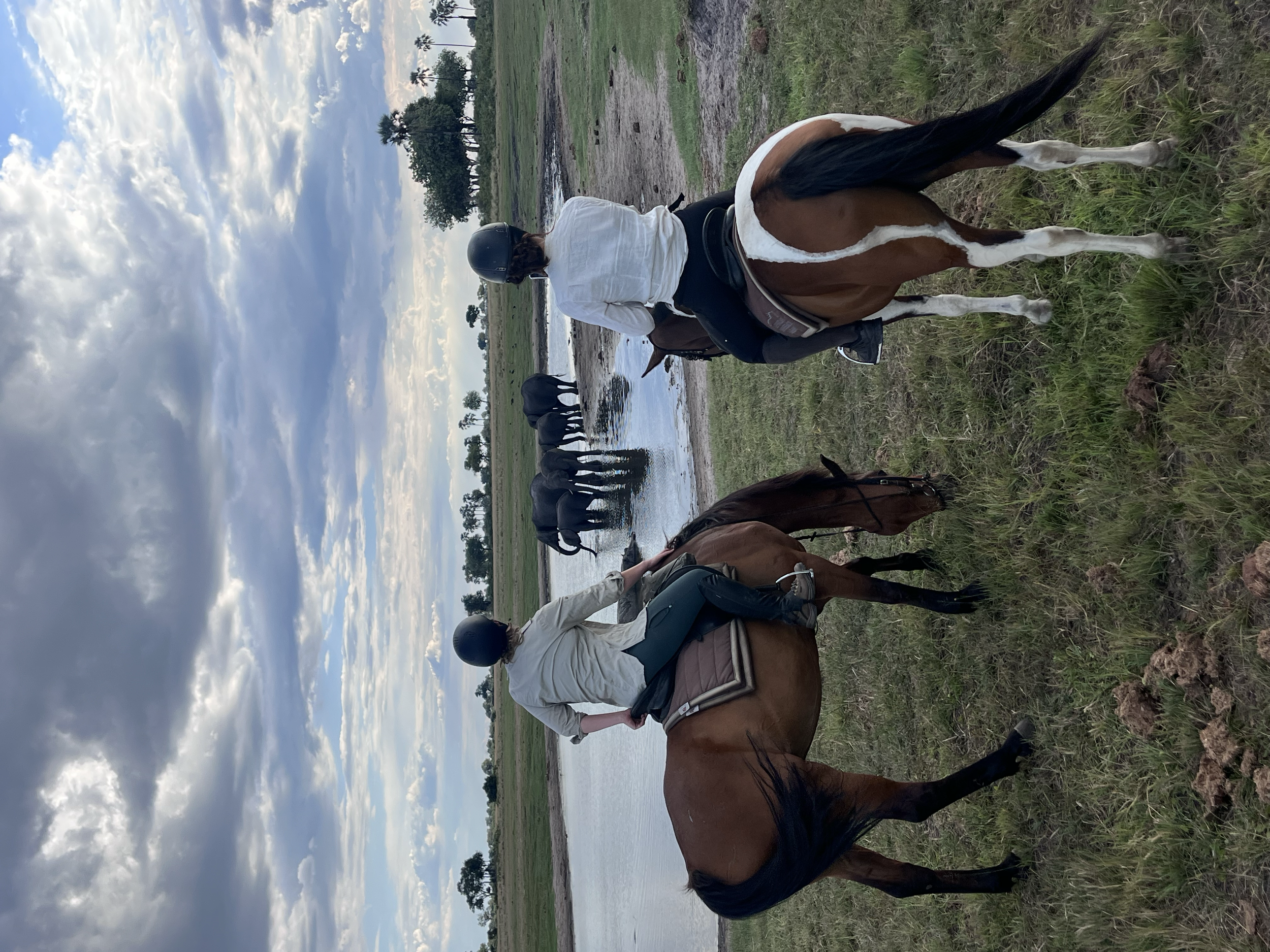 Un homme portant un casque de cheval et une chemise blanche monte à cheval près d'une rivière. Le paysage est verdoyant avec des arbres et un ciel nuageux.