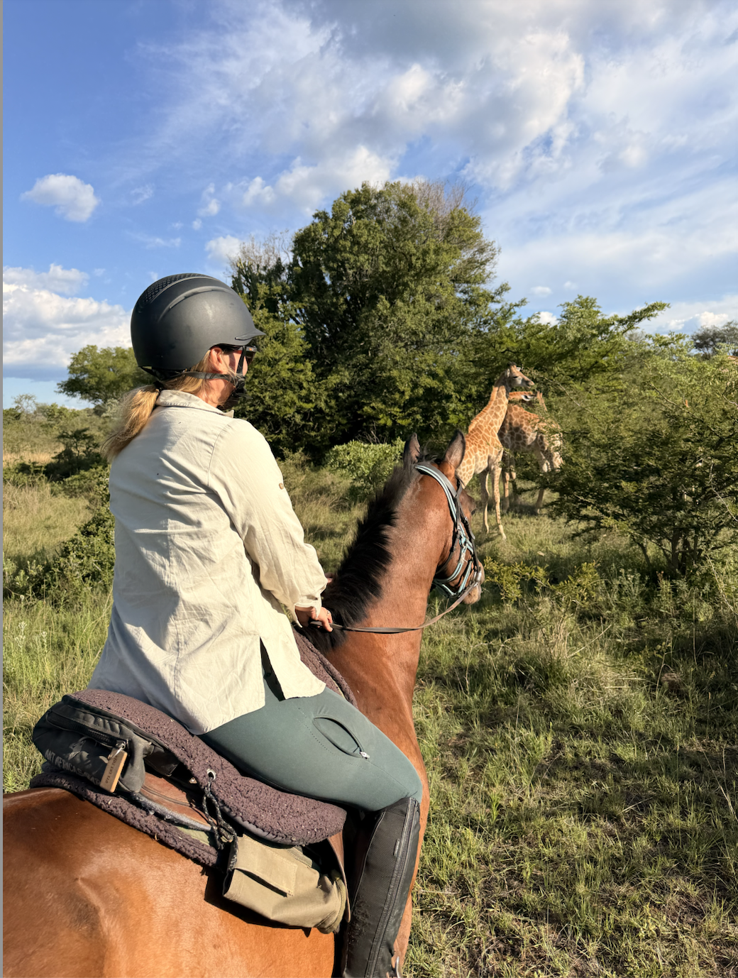 Une femme à cheval en safari observe deux girafes dans la savane sous un ciel bleu avec quelques nuages.