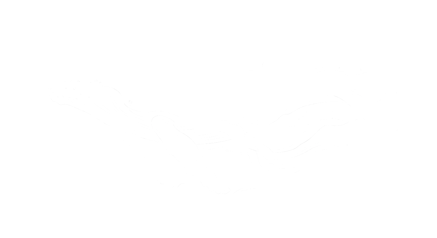 Une image d’une grande envergure d’une baleine bleu avec son baleineau avec un fond blanc.
