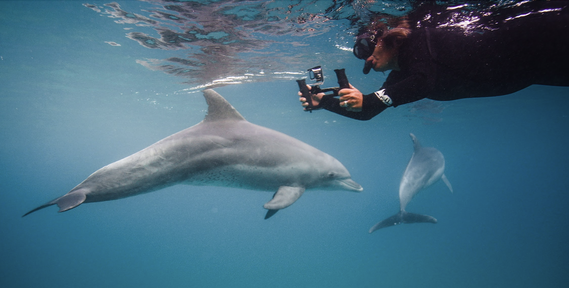 Une personne nageant sous l'eau avec deux dauphins.