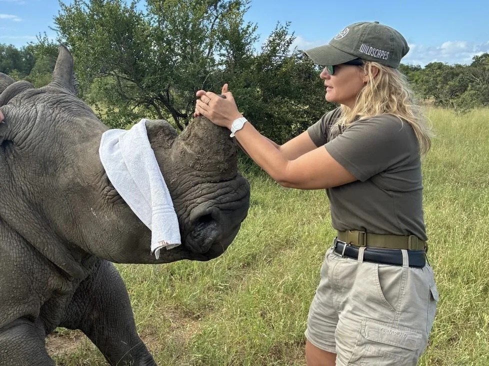 Une femme en tenue de safari interagit avec un rhinocéros dans une zone naturelle herbeuse avec des arbres en arrière-plan.