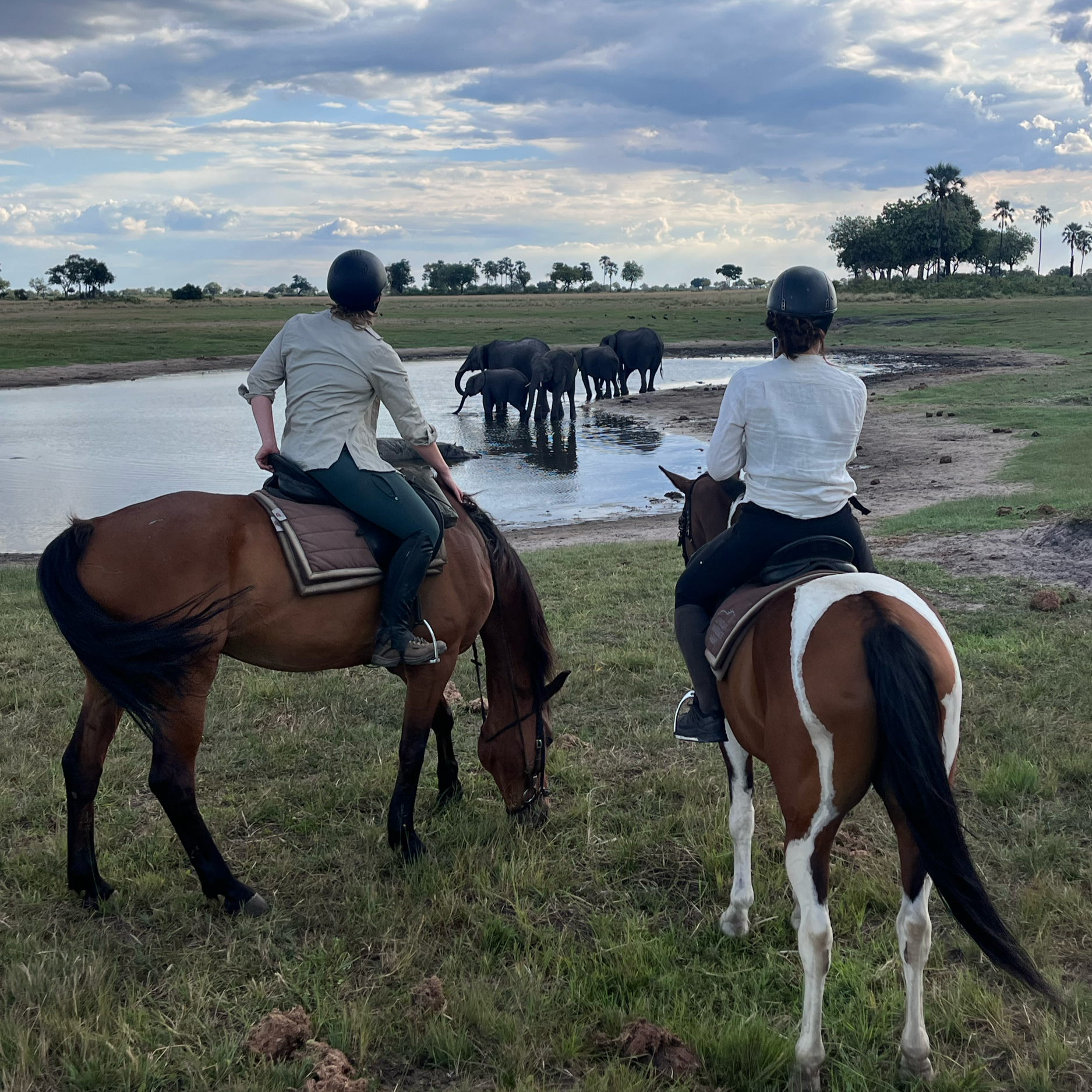 Un homme portant un casque de cheval et une chemise blanche monte à cheval près d'une rivière. Le paysage est verdoyant avec des arbres et un ciel nuageux.