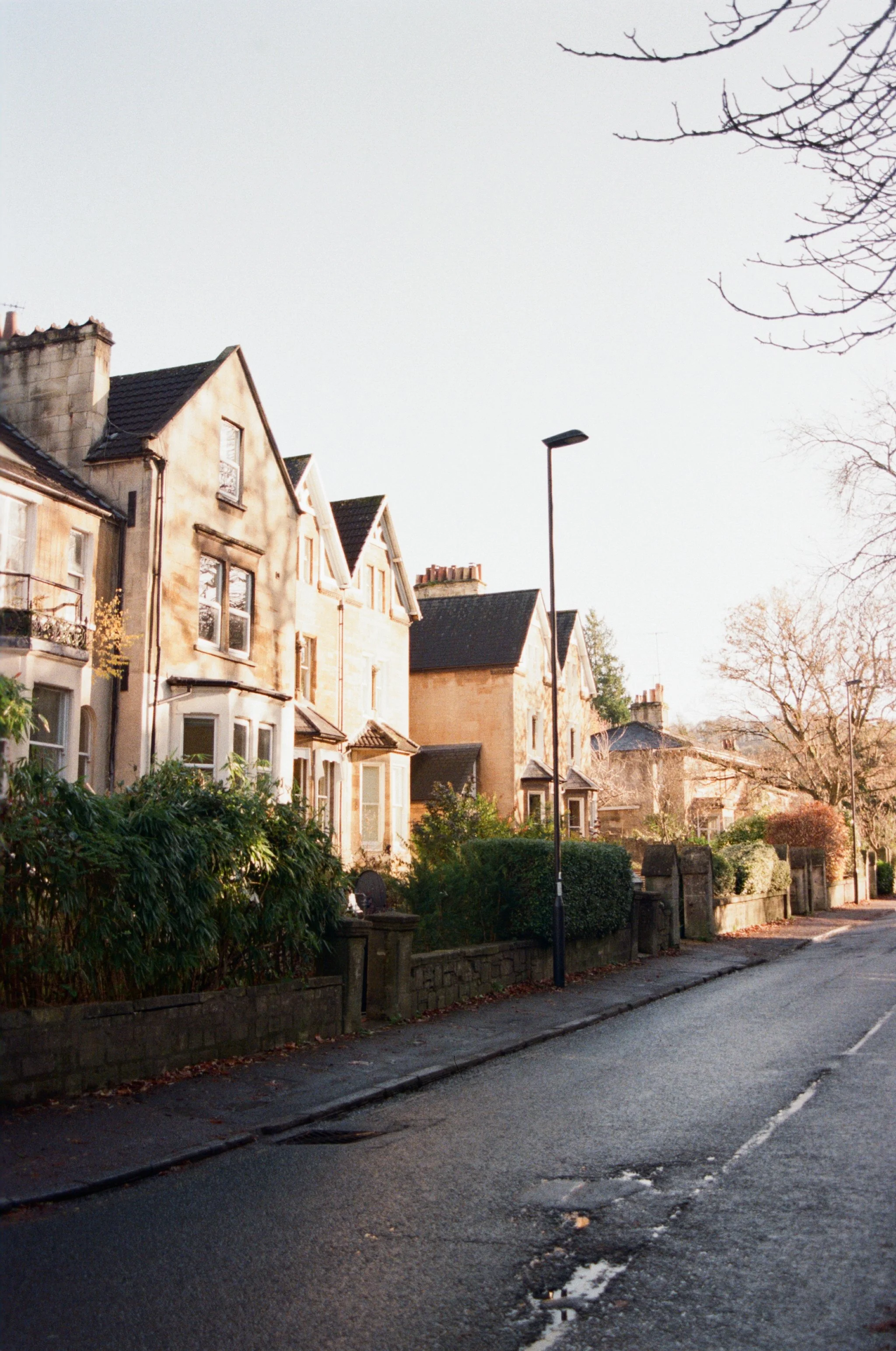 Street view with old houses, leafless trees, and lampposts on a cloudy day.
