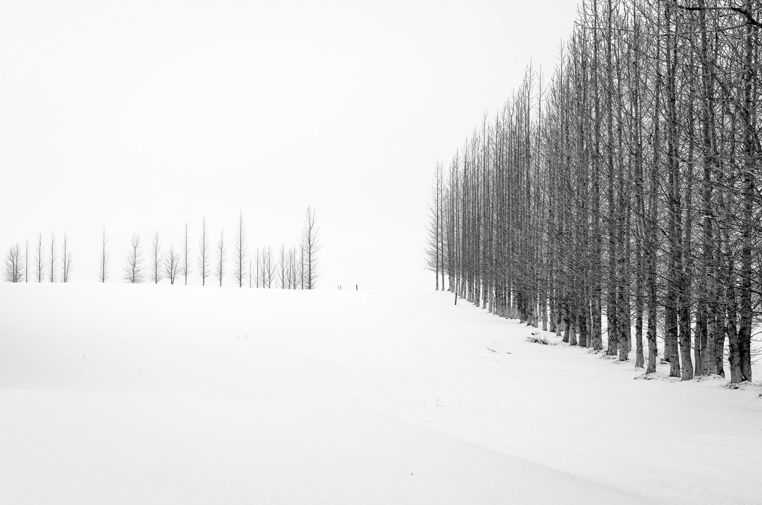 Fotos Video Islandia20.jpg