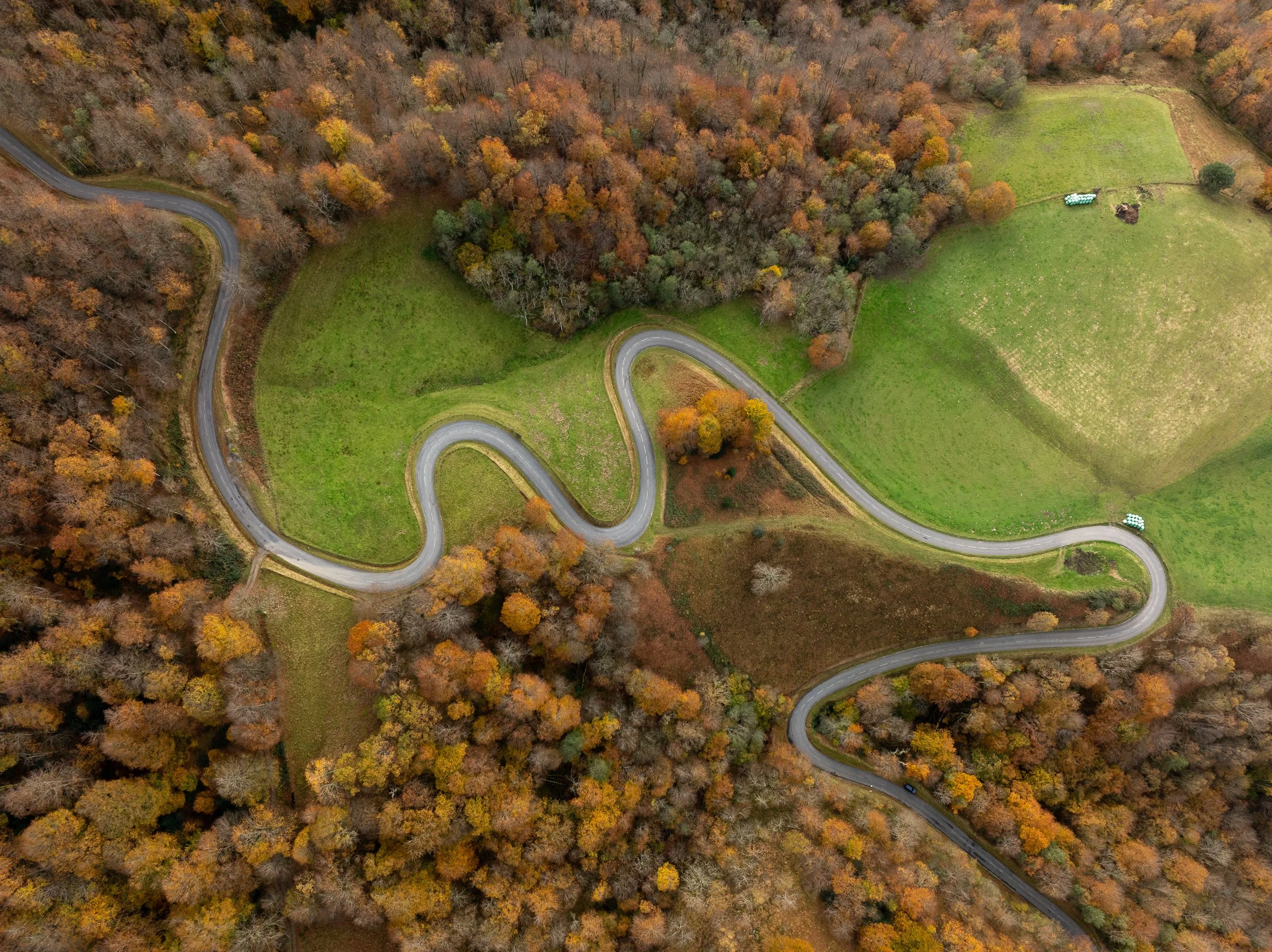 DJI_0424.jpg