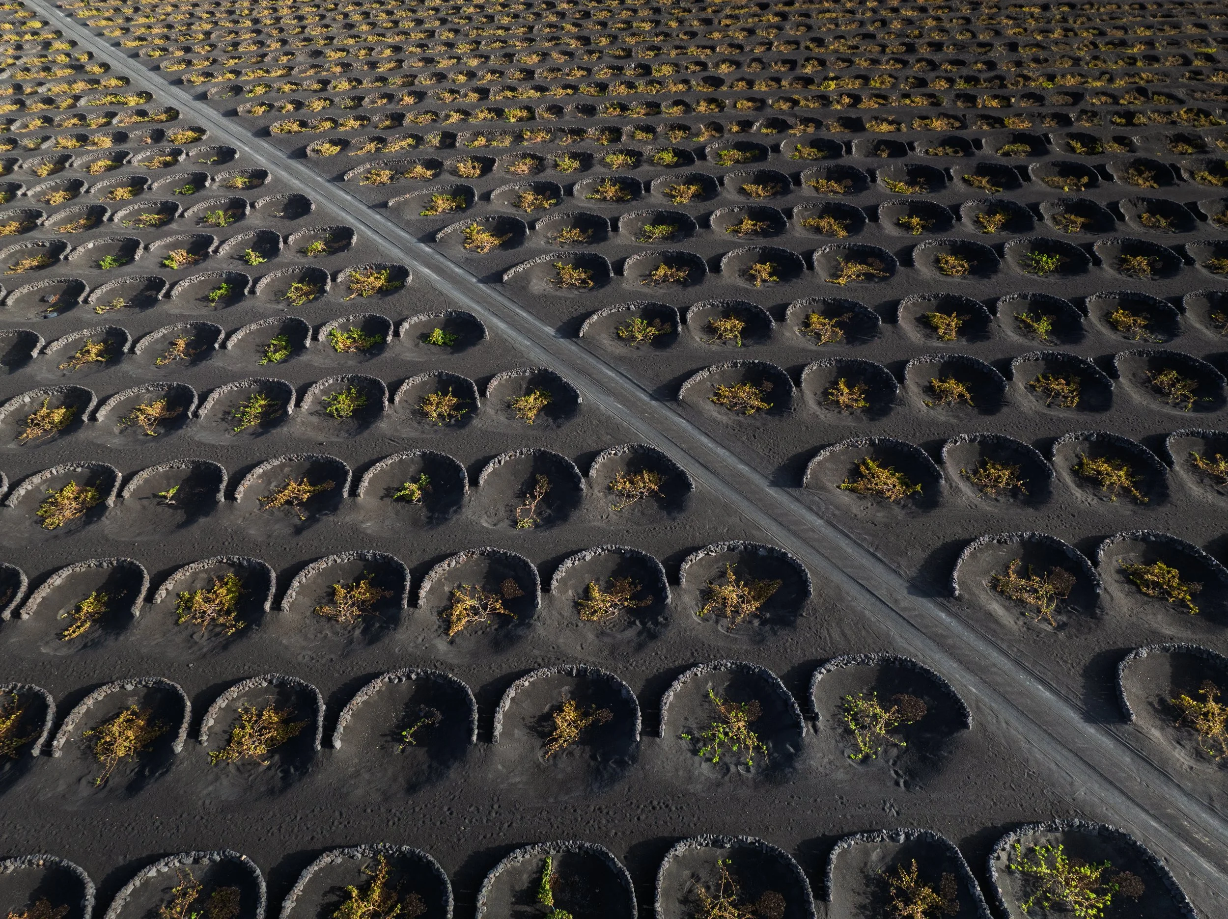 20231008_TIMANFAYA_0027-32.jpg