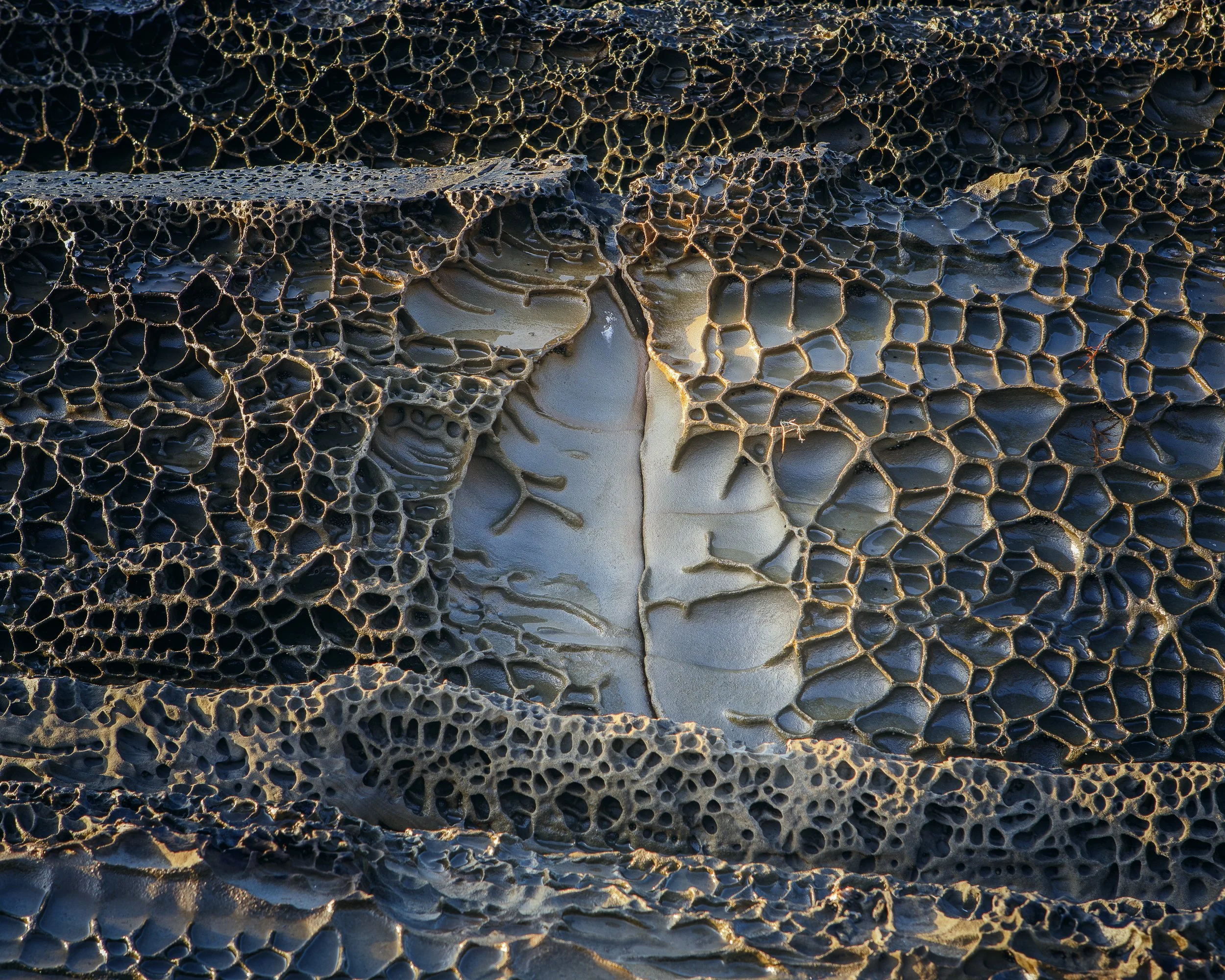 _DM49894-Edit.jpg