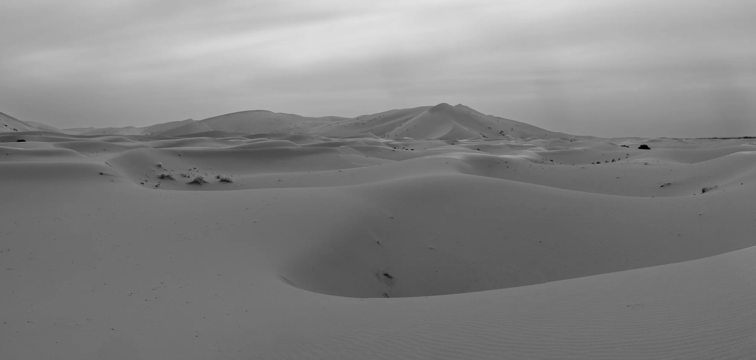 _5JG1493-Pano.jpg