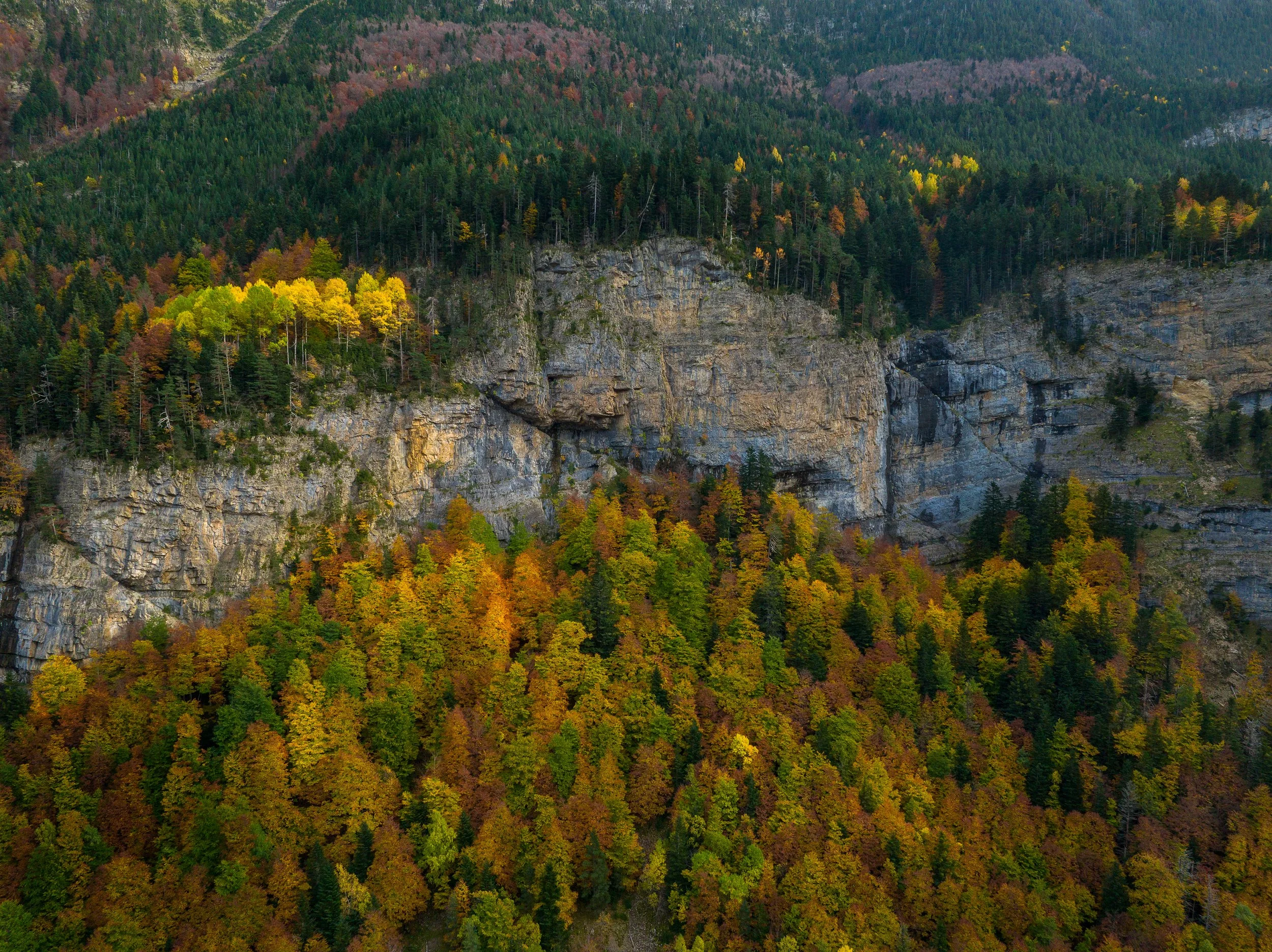 DJI_0085-Editar.jpg