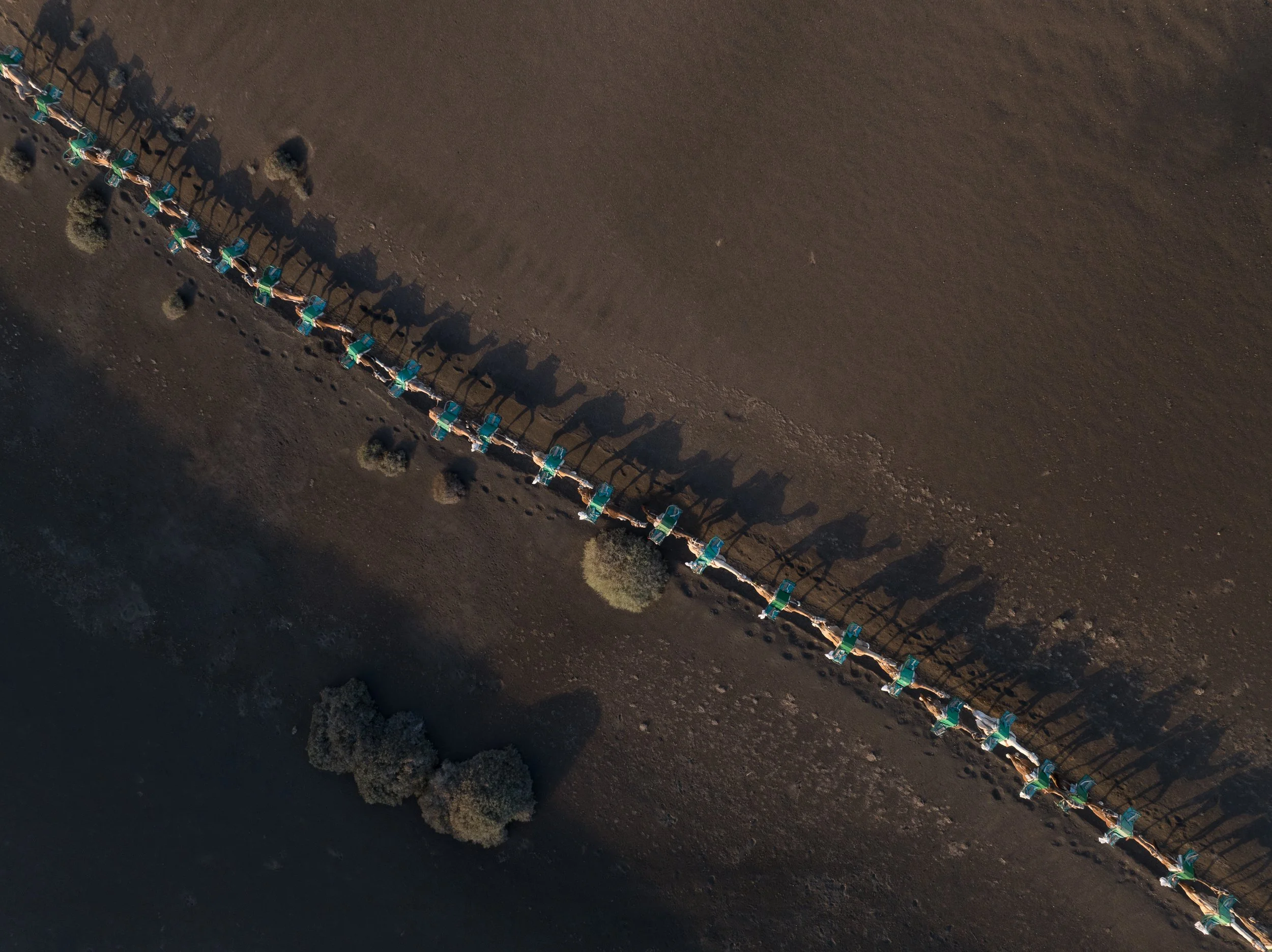 20231003_TIMANFAYA_0006-94.jpg