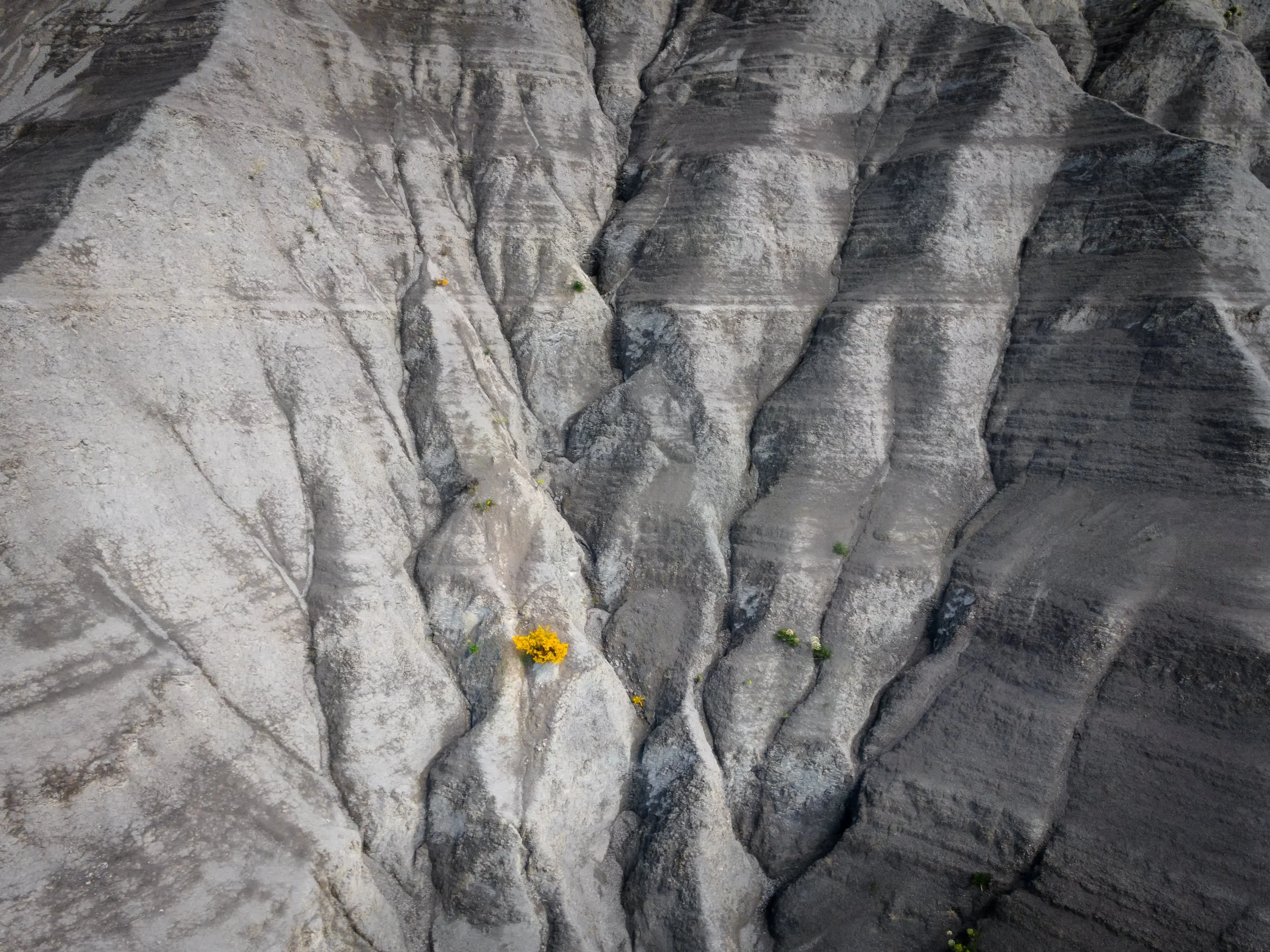 DJI_0056-Editar.jpg