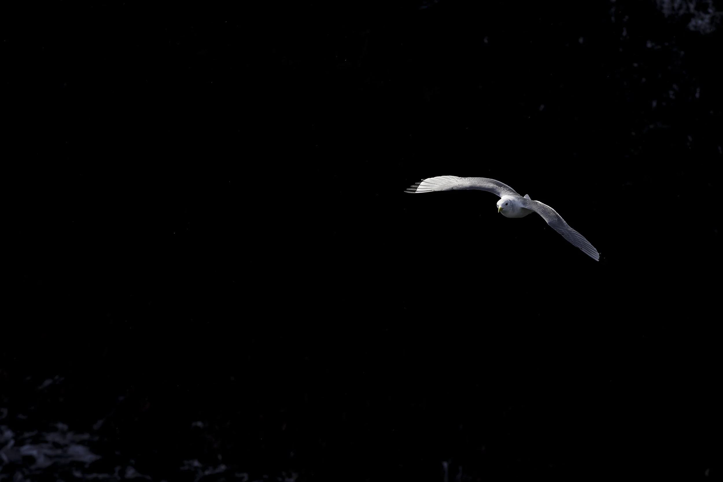 Fotos Video Islandia28.jpg