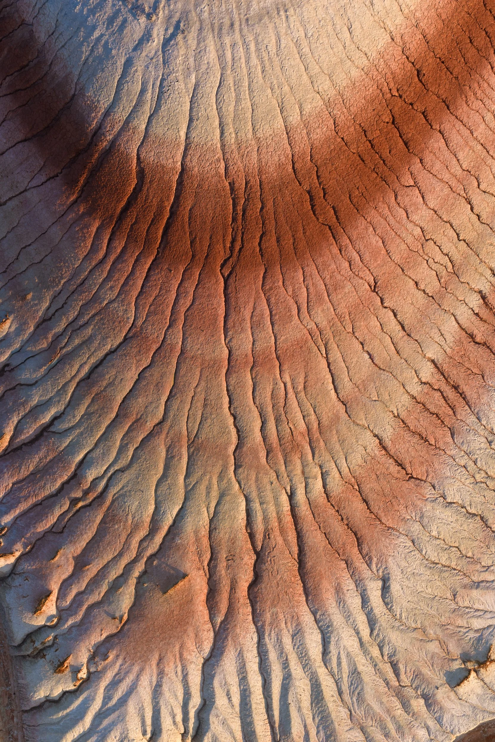 DJI_20260507064802_0934_D.jpg